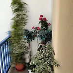 Almyra View House *